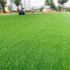 Thảm cỏ nhân tạo 3cm, 2cm chất lượng cao lắp đặt cho sân chơi trẻ em NK8-001