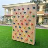 Bộ vách leo núi cho bé bằng gỗ TP11-001