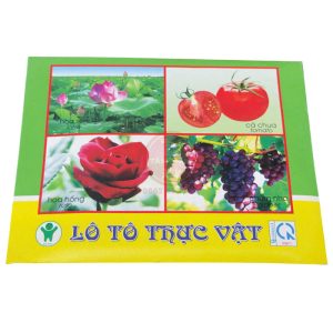 Lô tô thực vật cho bé mầm non TTI-050