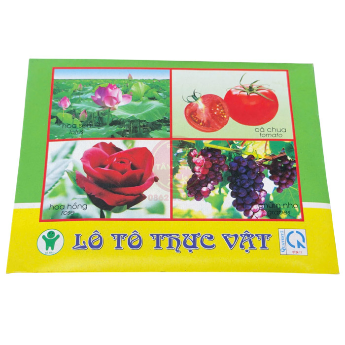 TTI-050-lo-to-thuc-vat-cho-be-mam-non-1 Lô tô thực vật cho bé mầm non TTI-050