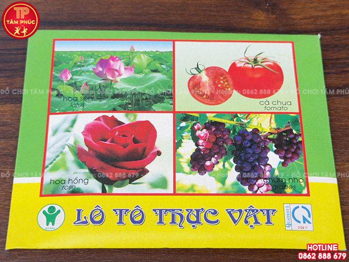 Lô tô thực vật cho bé mầm non TTI-050