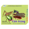 Lô tô các loại côn trùng cho bé TTI-054