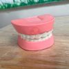 Mô hình hàm răng bằng nhựa TTN-023