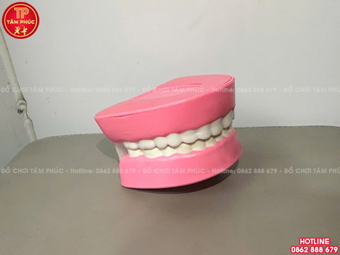 Mô hình hàm răng bằng nhựa TTN-023