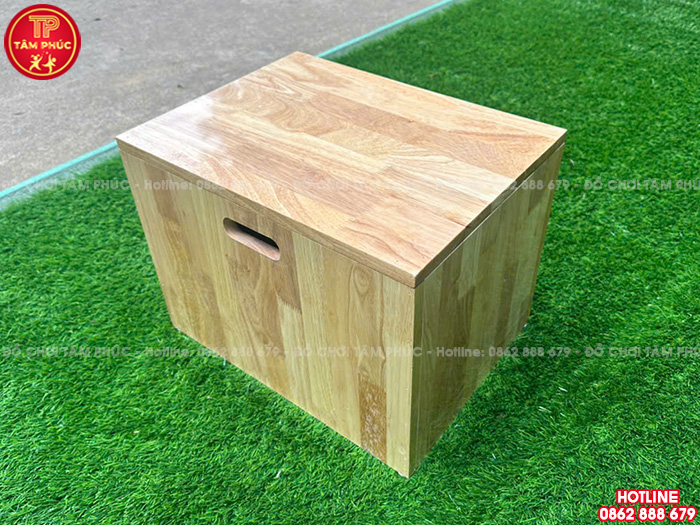 Bục bật sâu bằng gỗ cho bé mầm non TTO-073