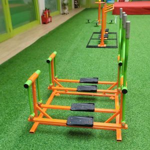 Thiết bị tập thể dục chạy bộ lắc tay đôi cho bé mầm non TP14-006-A